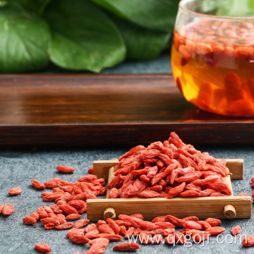 Factory supply organic superfood goji berries